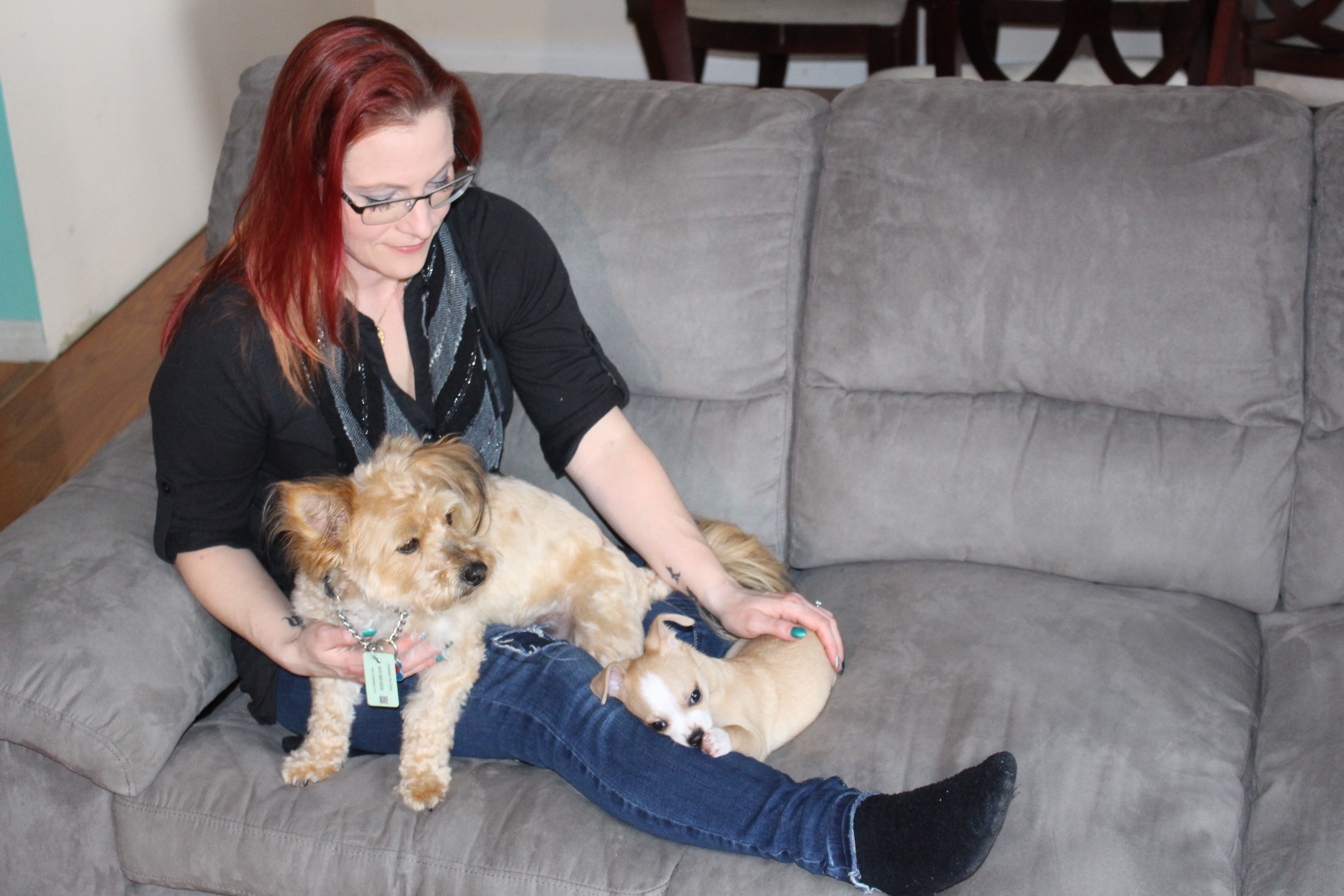 Some pet owners say finding affordable rentals in Lethbridge is challenging