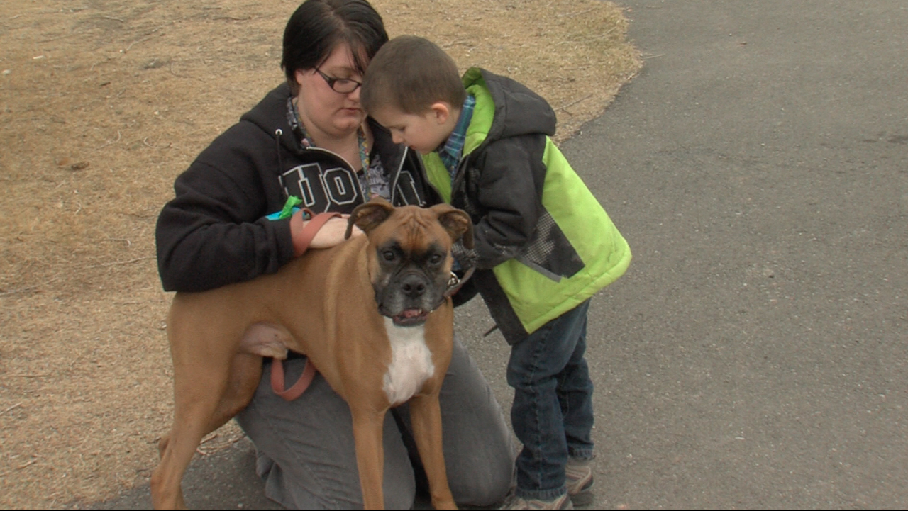 Emotional support animals