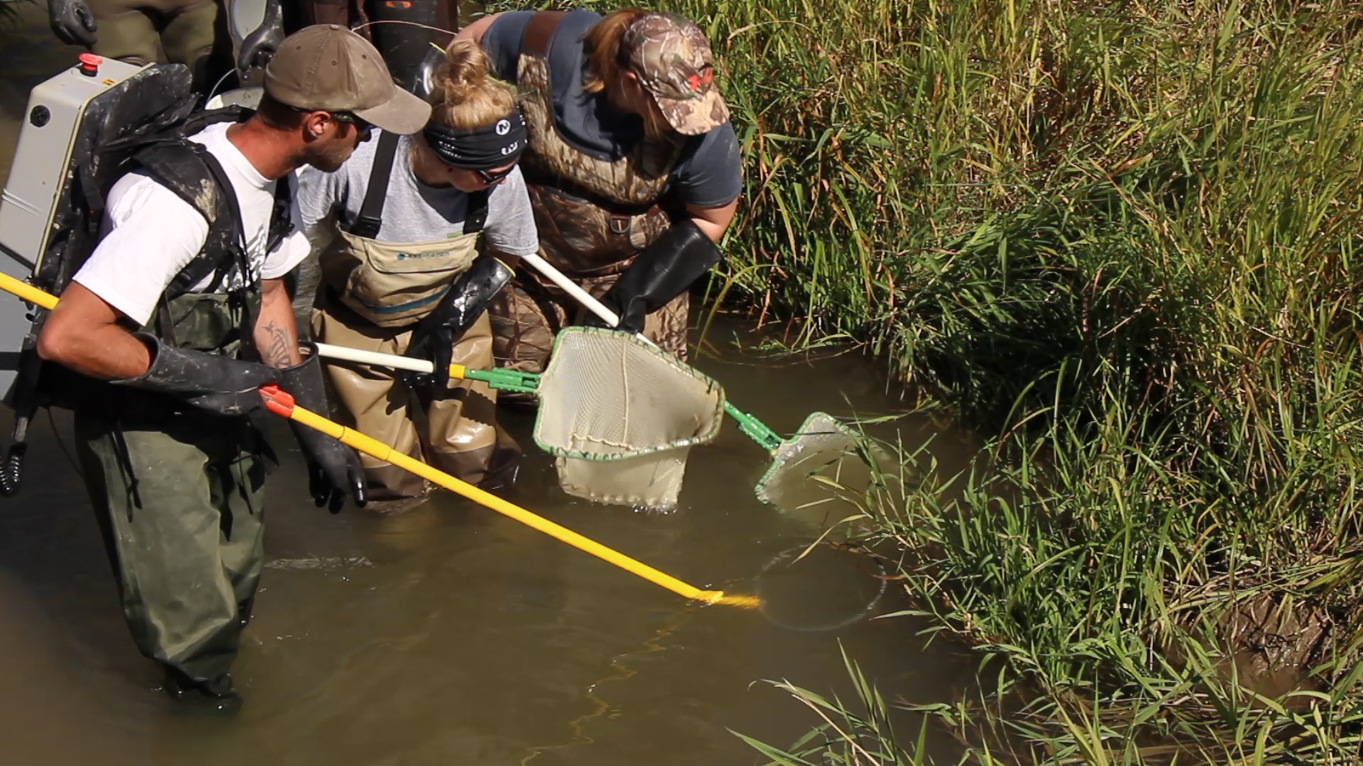 A culvert with a cause