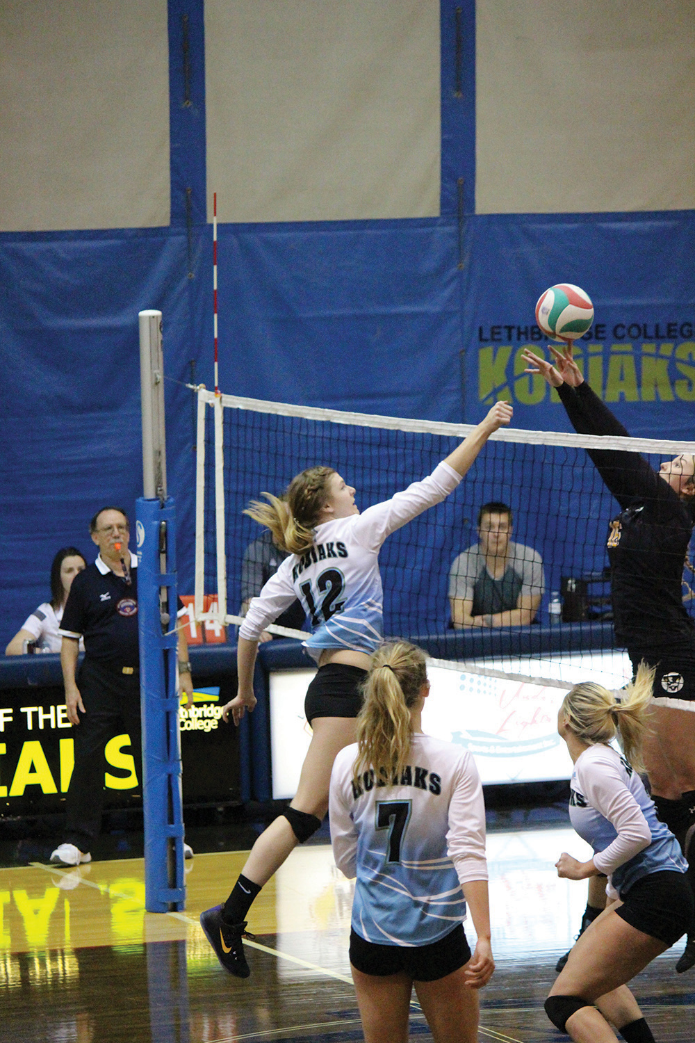 Weekend ahead for Kodiaks Volleyball