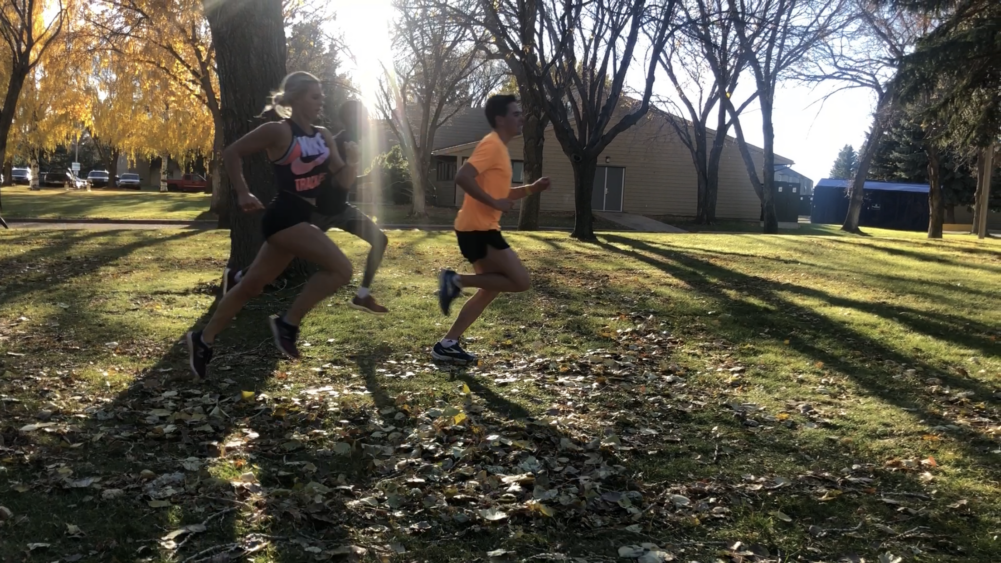 Cross-country runner headed for Provincials