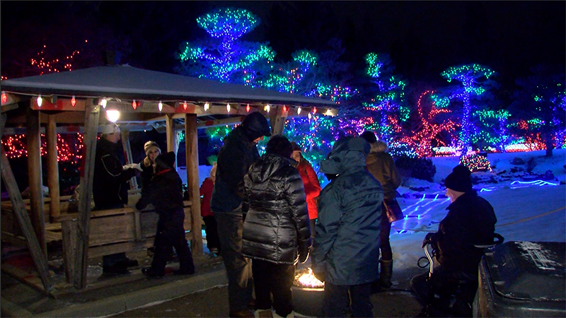 Japanese Gardens hosts night of opera under twinkling lights