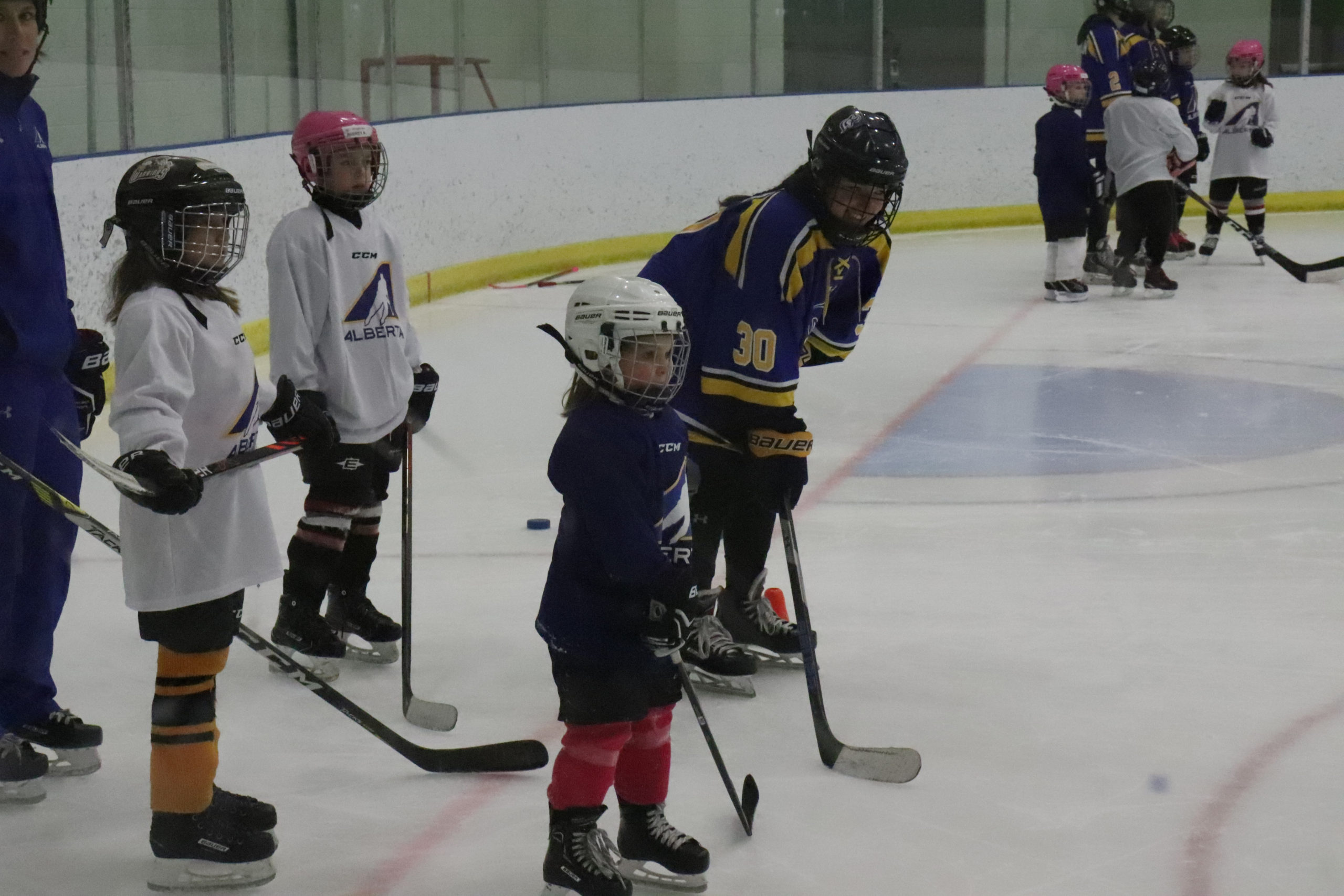 Female Hockey day showcases  women’s hockey