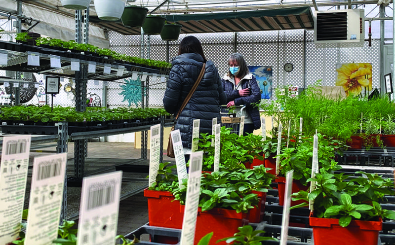 Greenhouses prepare for busy season despite pandemic