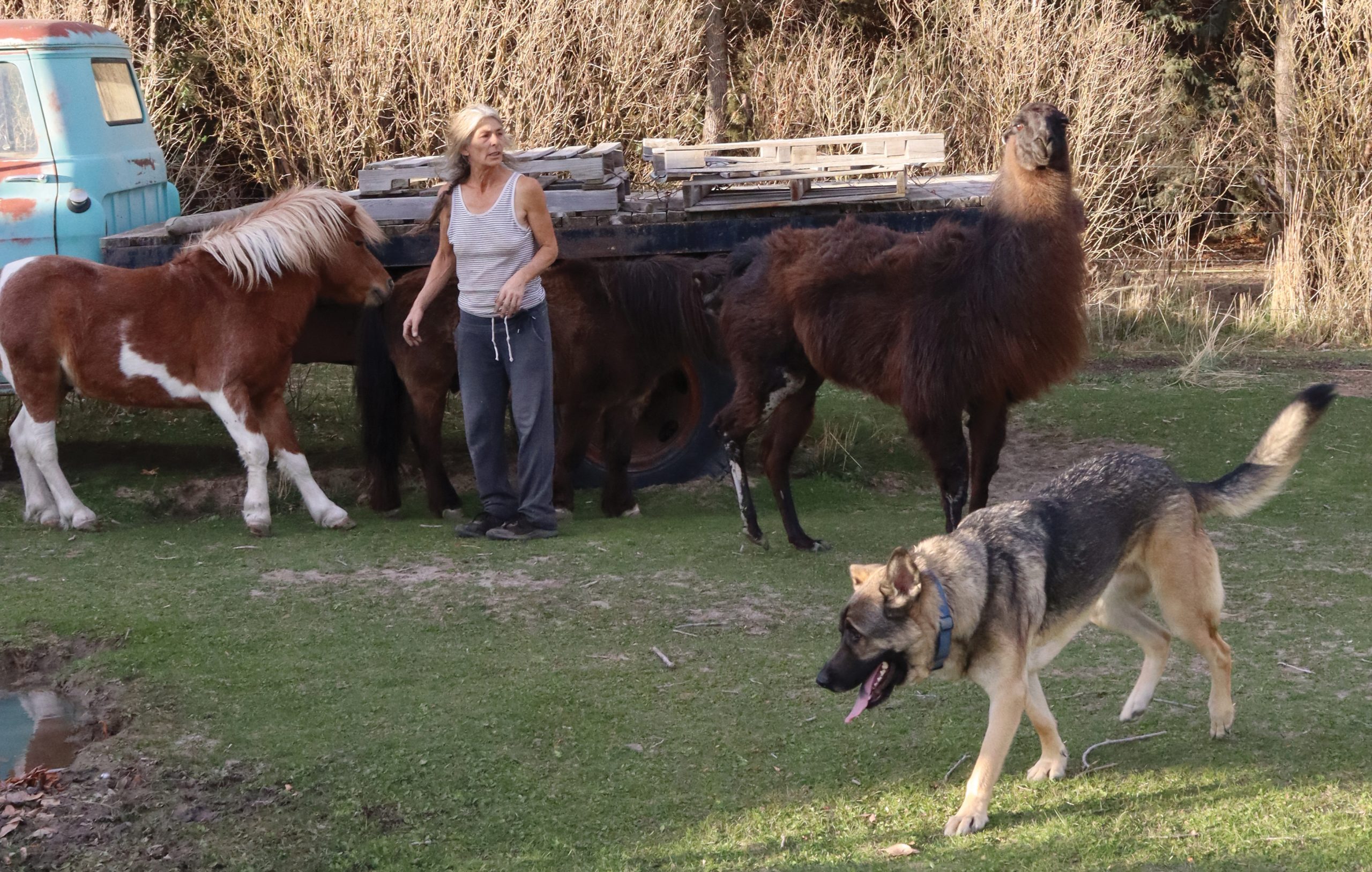 Farmers rush to prepare for winter