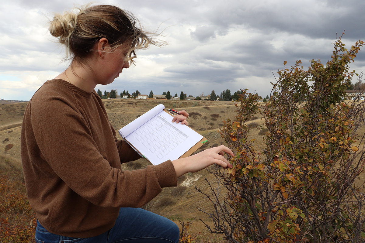 Field studies teach students industry skills