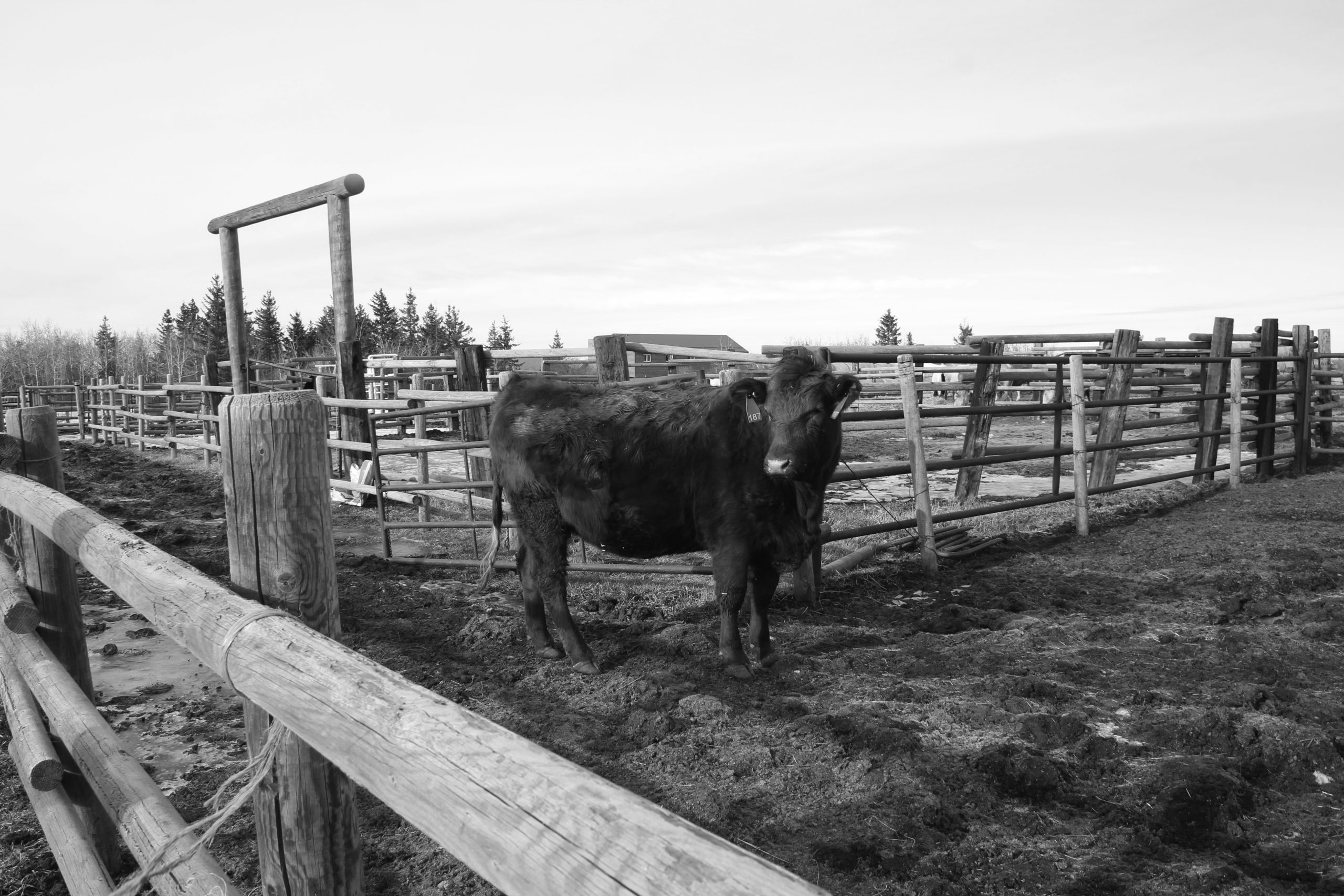 Mental benefits of going outside city limits