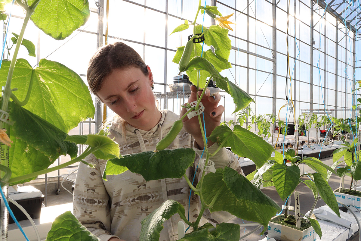 Growing agricultural success 