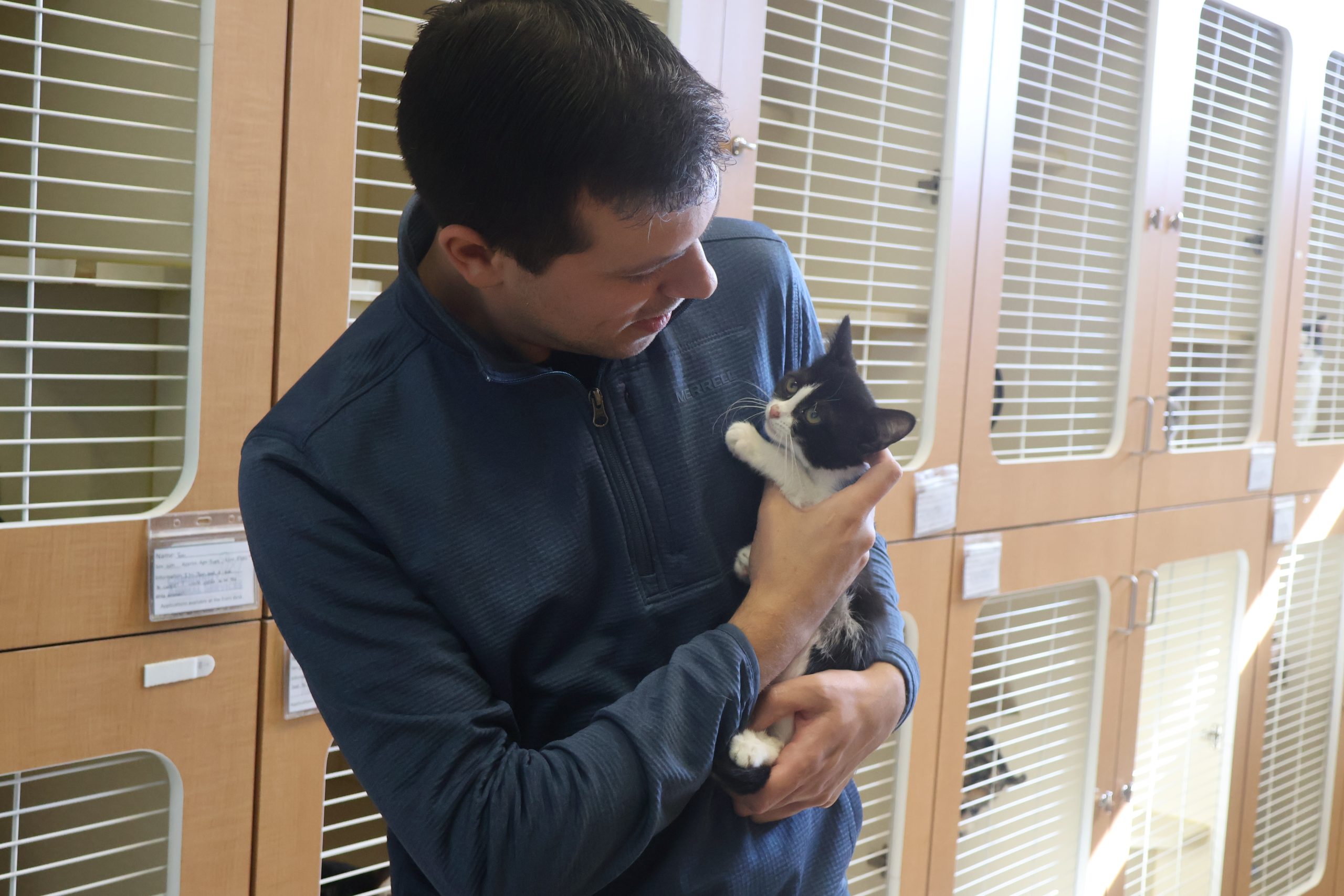 Lethbridge animal shelter intake levels decreasing